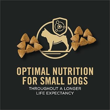 Purina Pro Plan Small Breed Dry Dog Food Chicken and Rice Formula With  Live Probiotics - 6 lb. Bag