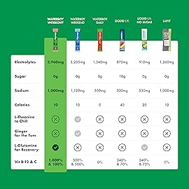Waterboy Workout Hydration | 2,960mg Sugar Free Electrolyte Powder Packets | L-Glutamine + Vitamins | No Sugar, All Natural, Gluten Free | 15 Drink Stick Mixes (Fruit Punch)
