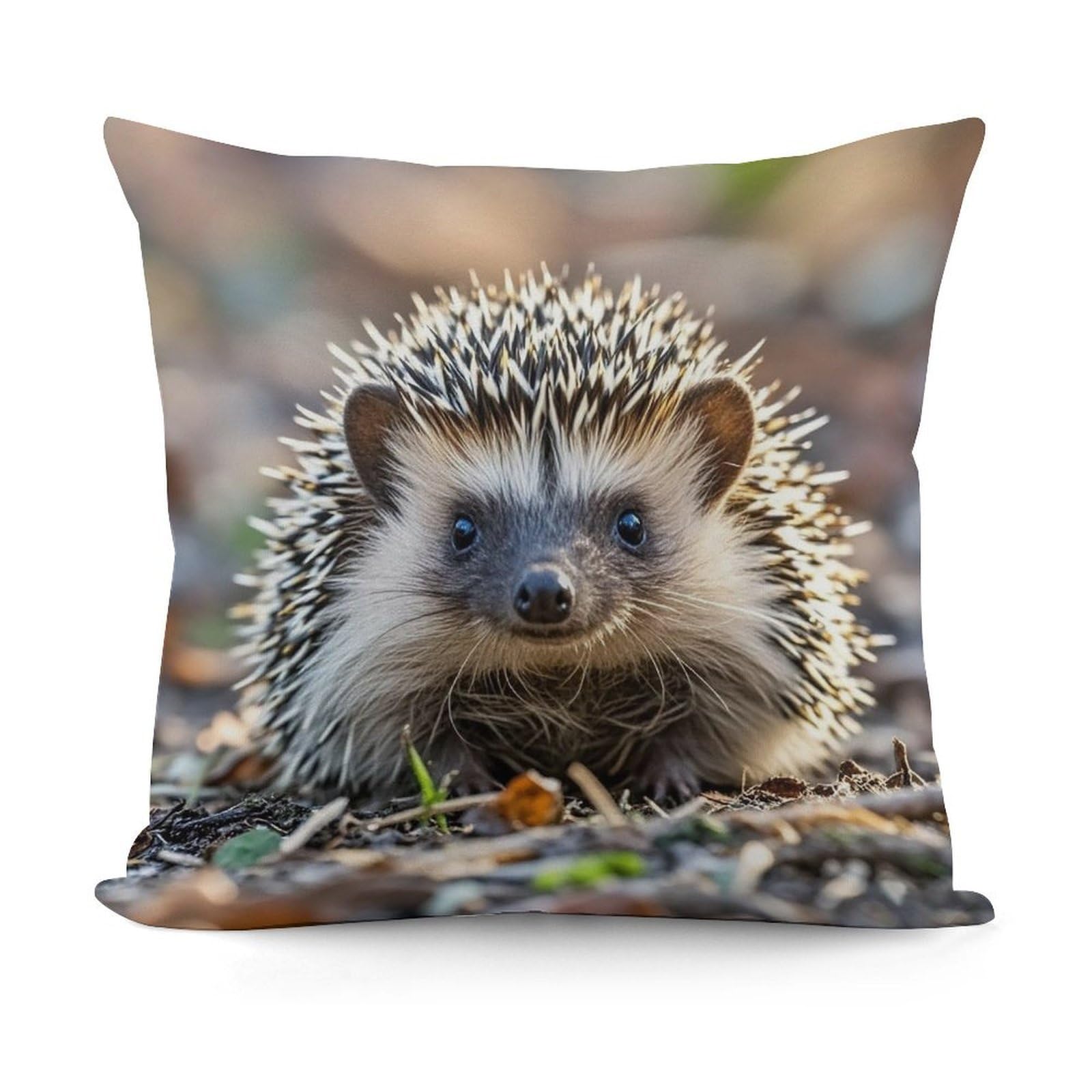LZQPOEAS Hedgehog Throw Pillow Cover 18x18 in Breathable Square Pillow Case Cozy Soft Pillowcase Protector Fashion Modern Couch Cushion Case for Living Room Bed Sofa Decor