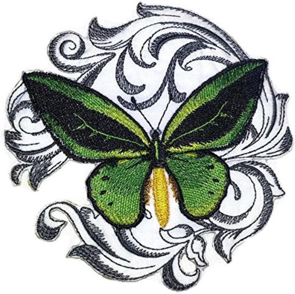 BeyondVision Custom and Unique Amazing Colorful Butterflies[ Common Green Birdwing with Baroque ] Embroidered Iron On/Sew Patch [5" x5"] Made in USA