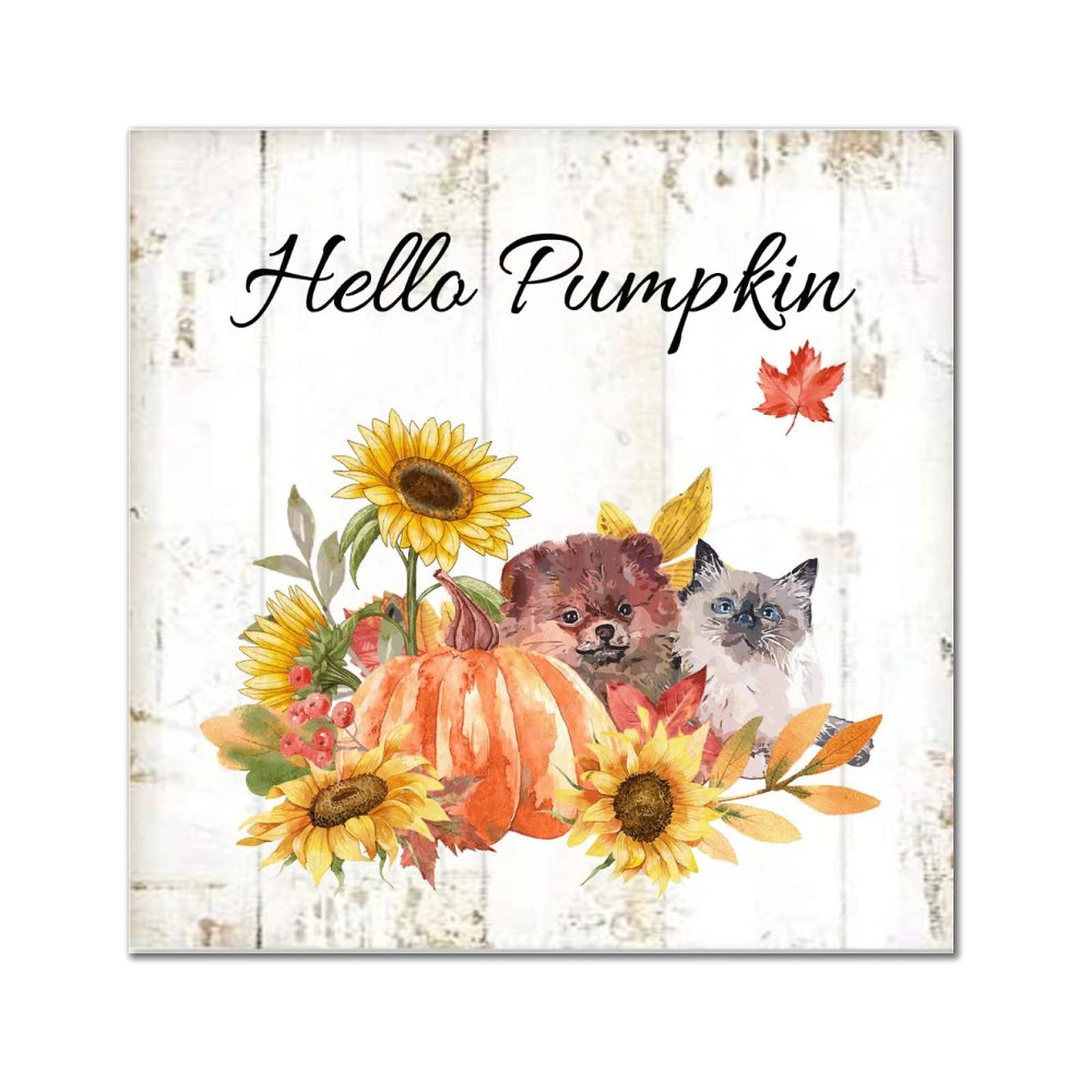Plaque pumpkin Akita en bois de qualité supérieure style rétro