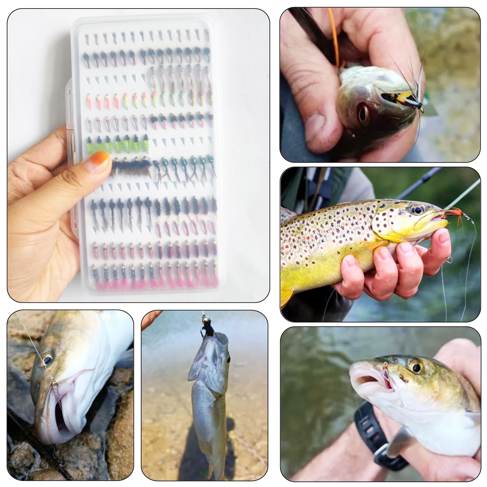 Fliegenfischen Fliegen Set, 134Stk Forellenköder mit Fliegenbox, Trockene Nasse Fliegen Fishing Lures, Nymphen, Streamers, Popper