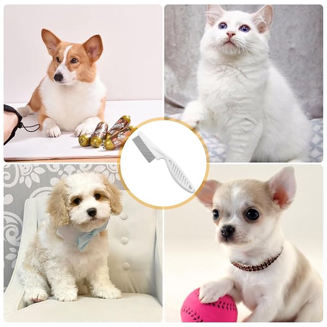 Foto 7 de 7 de Skythrive Peine Antipulgas para Perros y Gatos con Mango Ergonómico, Diseño de Dientes Finos
