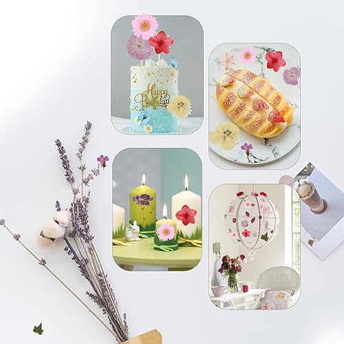 Miniatura 7 de 104 flores secas prensadas naturales de resina, flores secas para accesorios de resina, flores secas para álbumes de recortes, manualidades, moldes