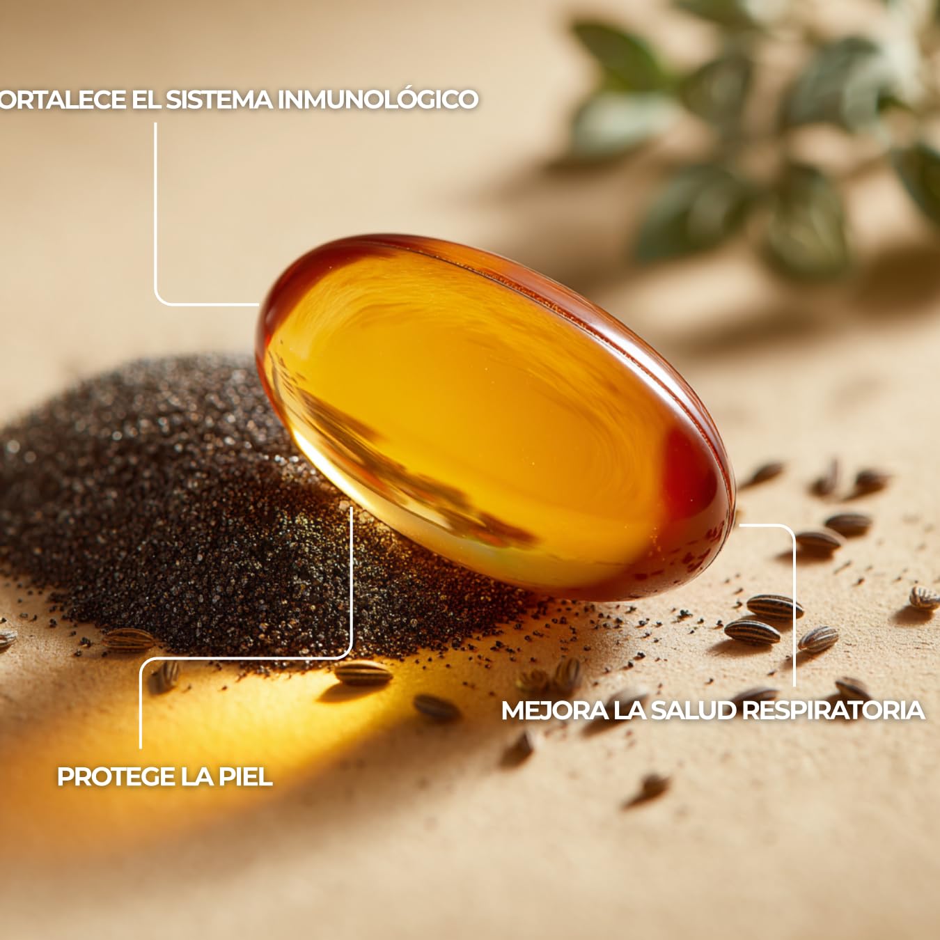 Aceite de Nigella (Cumin Negro) Alta Concentración – Complemento Alimenticio – Apoyo Inmunitario y Antioxidante – Cápsulas Vegetales