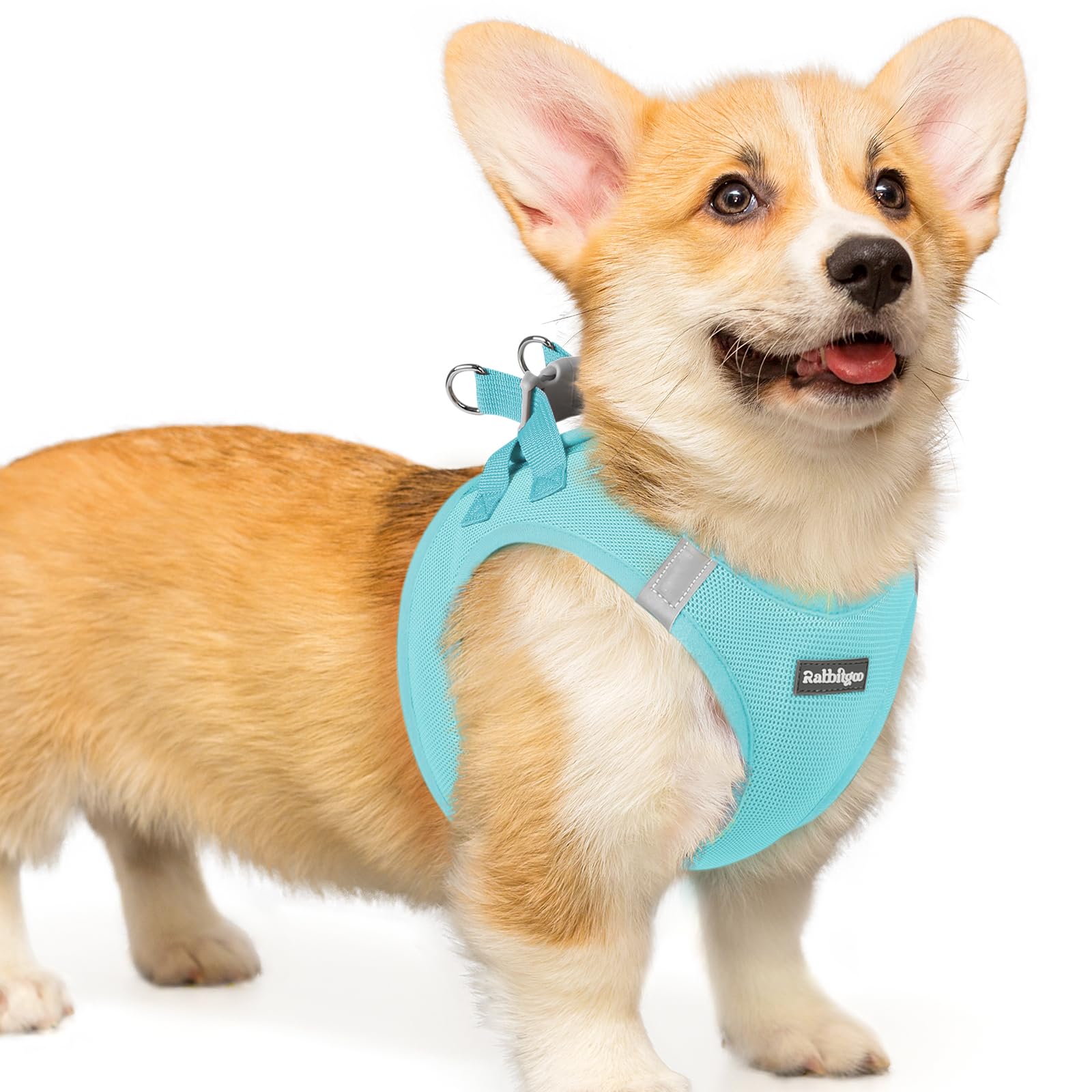 rabbitgoo Hundegeschirr kleine Hunde, Step-in Soft Mesh Hundegeschirr mit Sicherheitsverschluss, atmungsaktives und reflektierendes Welpengeschirr für kleine Hunde