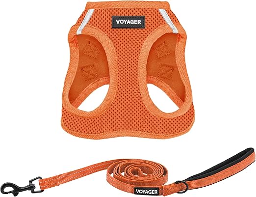 Voyager Step-in Air All Weather Mesh Harness and Reflective Dog 5 ft Leash Combo with Neoprene Handle, for Small, Medium and Large Breed Puppies by Best Pet Supplies - Set (Orange), S