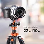 Camera Tripod, K&F Concept 62" Aluminum Tripod Monopod with Quick Release Plate, Ball Head and Compact Travel Compatible with Canon Nikon Sony DSLR Camera O254A1+BH-28L