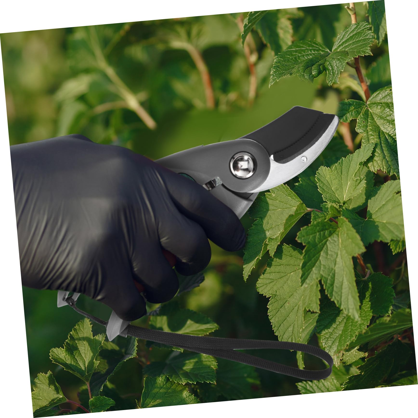 Forbici da Potatura per Alberi Impugnatura Ergonomica Taglienti in Acciaio Blocco di Sicurezza e Molla per Uso Efficiente in Giardino e Agricoltura