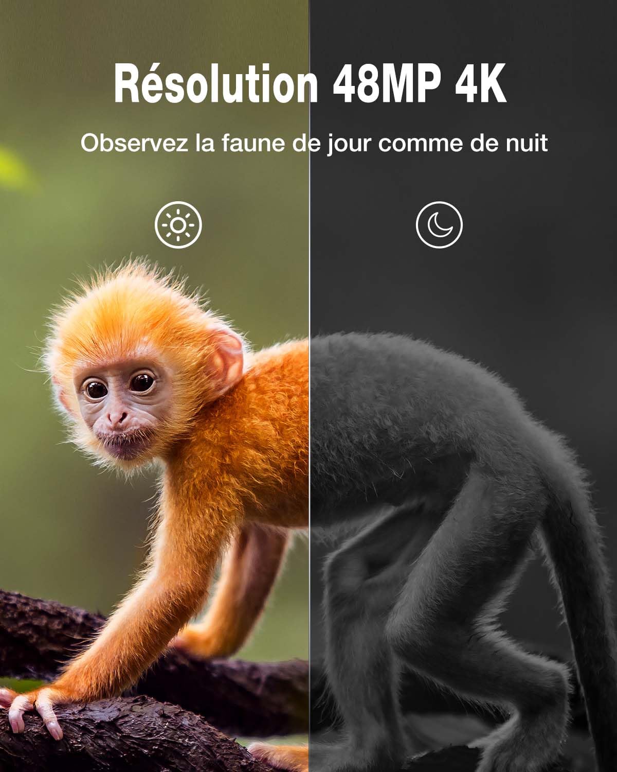 WOLFANG Caméra de Chasse,48MP 4K HD Caméra Chasse avec 940nm No Glow Vision Nocturne,IP66 Etanche pour l'observation des Animaux