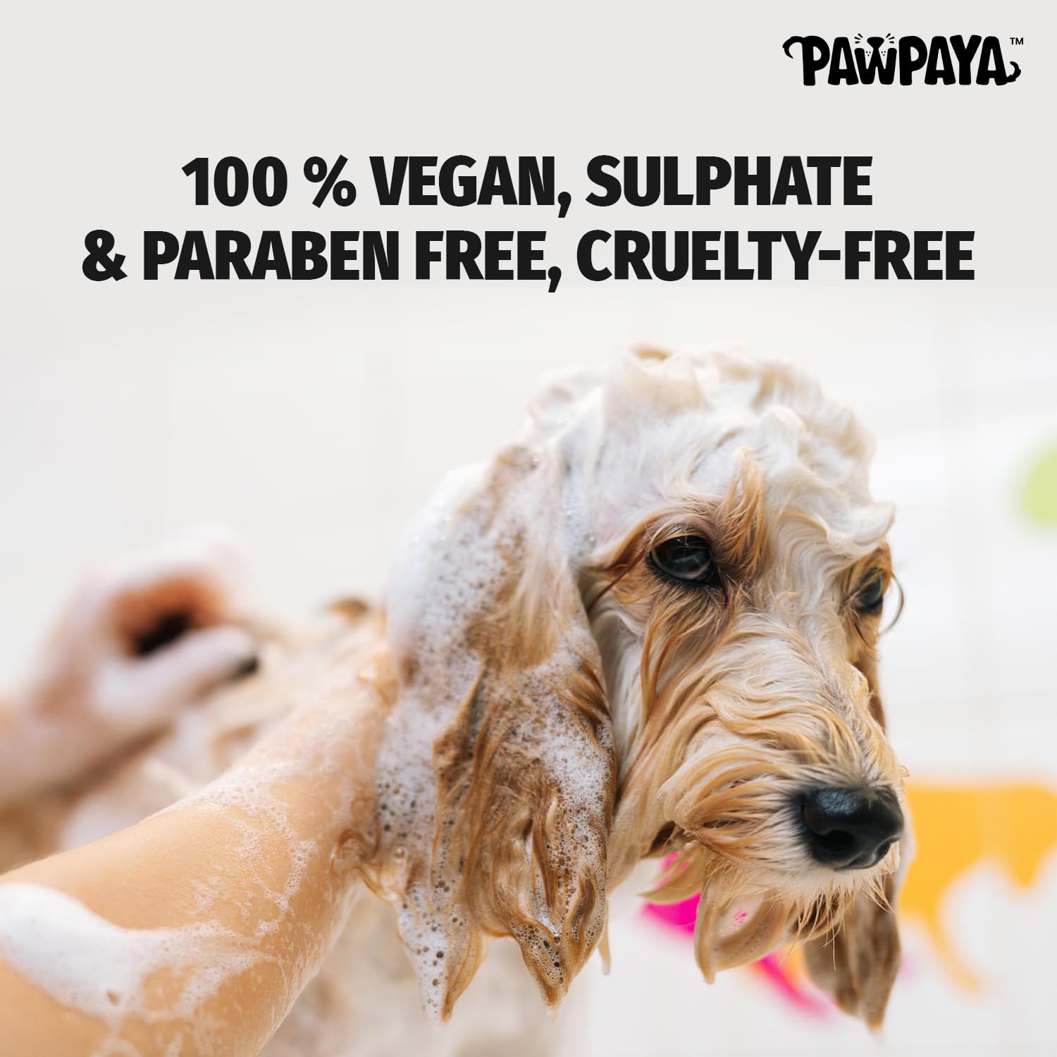 Pawpaya Flea & Tick Dog Shampoo | Neem & Aloe Vera Formula | Removes Fleas, Ticks & Odor | Safe, Gentle & Effective for All Breeds | 250ml 3