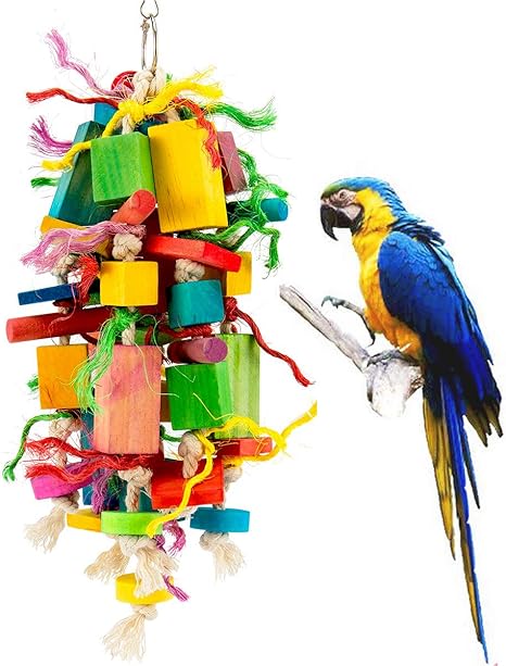 bird toys amazon