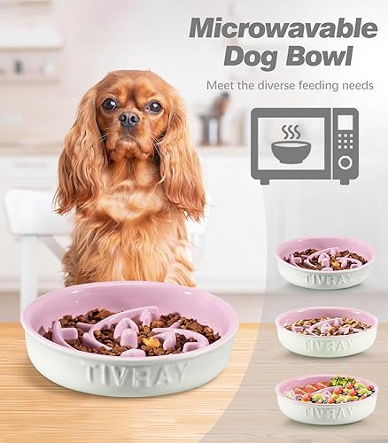 Miniatura 8 de Cuencos de cerámica para perros de alimentación lenta, 1.5 tazas de comedero lento para cachorros, cuenco de alimentación lenta para comedores