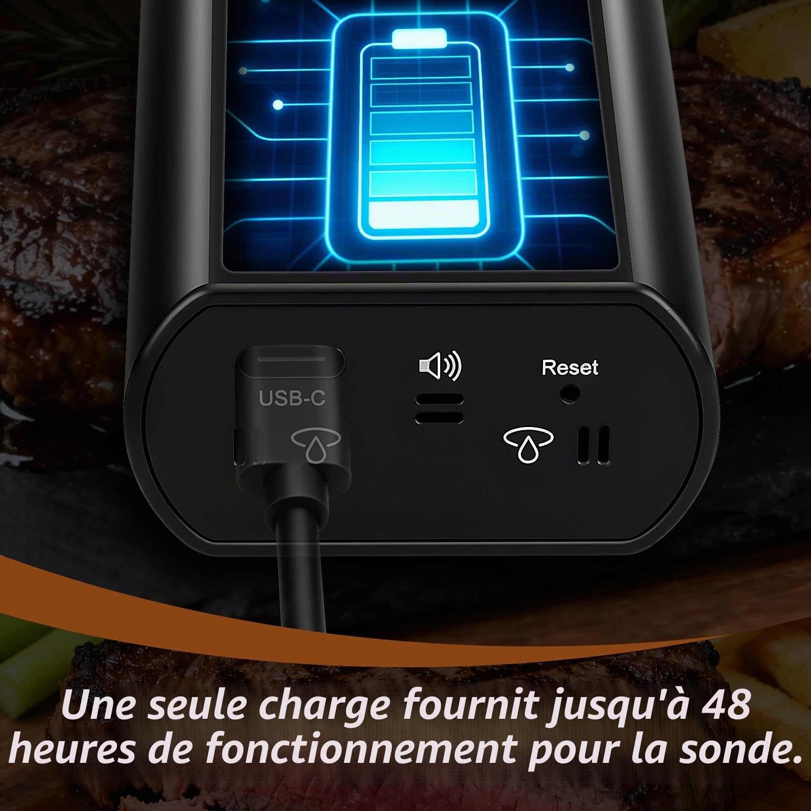 Thermomètre à viande sans fil intelligent avec Bluetooth, 2 sondes et fonction mémoire – Portée de 150 m, étanche IPX8 pour barbecue, fumoir, four, Air Fryer – Surveillance à distance par application