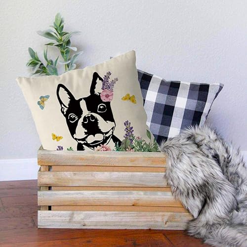 Miniatura 3 de GAGEC Fundas de almohada de primavera de 18 x 18 pulgadas, funda de almohada de caniche Hello Spring Home para sofá, vacaciones, decoración de