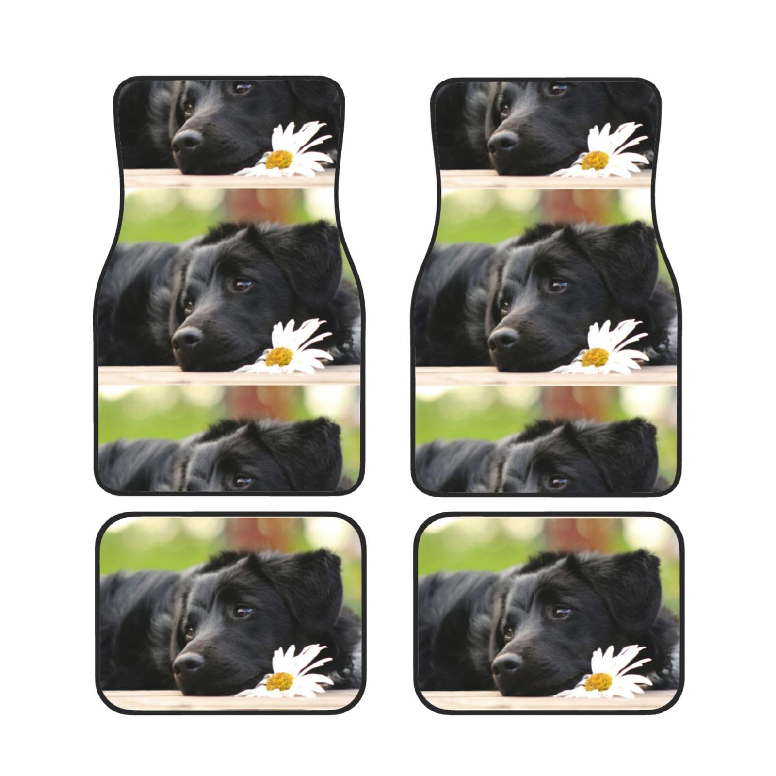 Alfombrillas de Labrador Negro para coche solución contra resbalones y suelo sucio 7