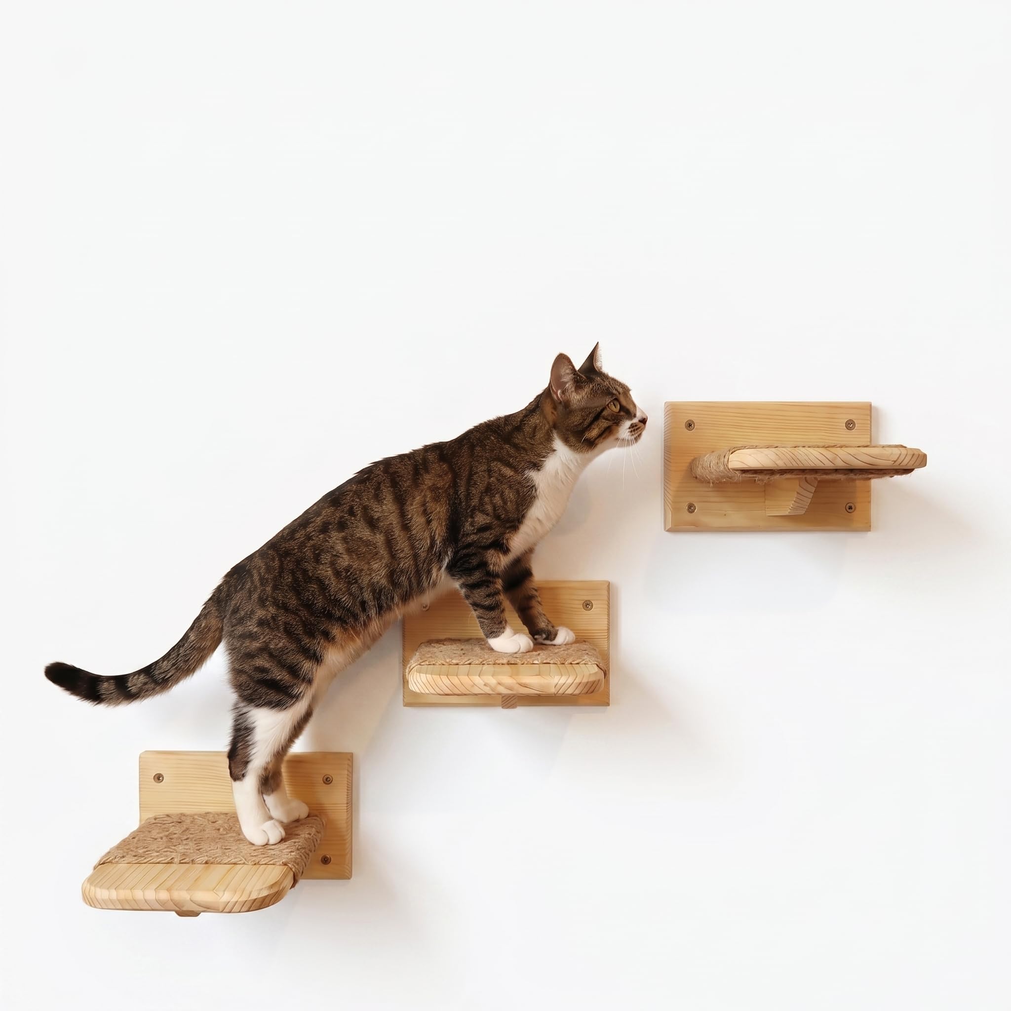Katzen Wandtreppe aus Massivholz – 3er Set Kletterstufen für Katzen mit Juteseil – Katze Wandmöbel aus Kiefernholz – einfache & schnelle Montage – Kletterhilfe & Katzenwand