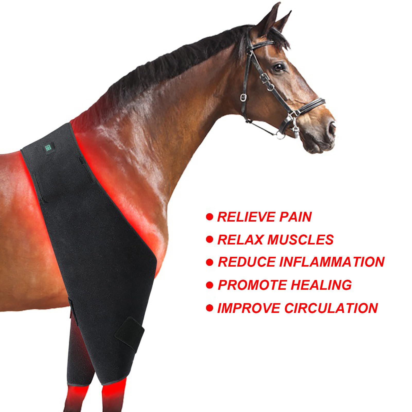 Paire D'enveloppes De Jambe à Thérapie Par Lumière Rouge 660nm/850nm - 240 LED - Pour Chevaux