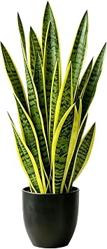 Fake Snake Plant 35,3ft Artificial Gold Snake Plants Indoor with Black Planter, Realistic Faux Sansevieria Potted for Home Decor, Low Maintenance Greenery for Desk Office Corner Bedroom