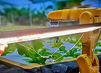 Review Image by @theDavidLeach