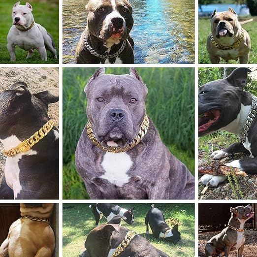 supreme dog leash amazon