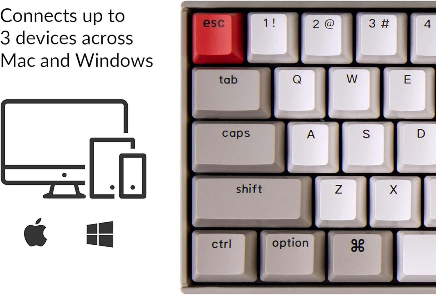 Keychron K6 Hot-Swappable Wireless Mechanical Keyboard for Mac, 65% Compact 68 Keys, Bluetooth, Multitasking, Type-C Wired Gaming Keyboard for Windows Non-Backlit with Keychron Blue Switch