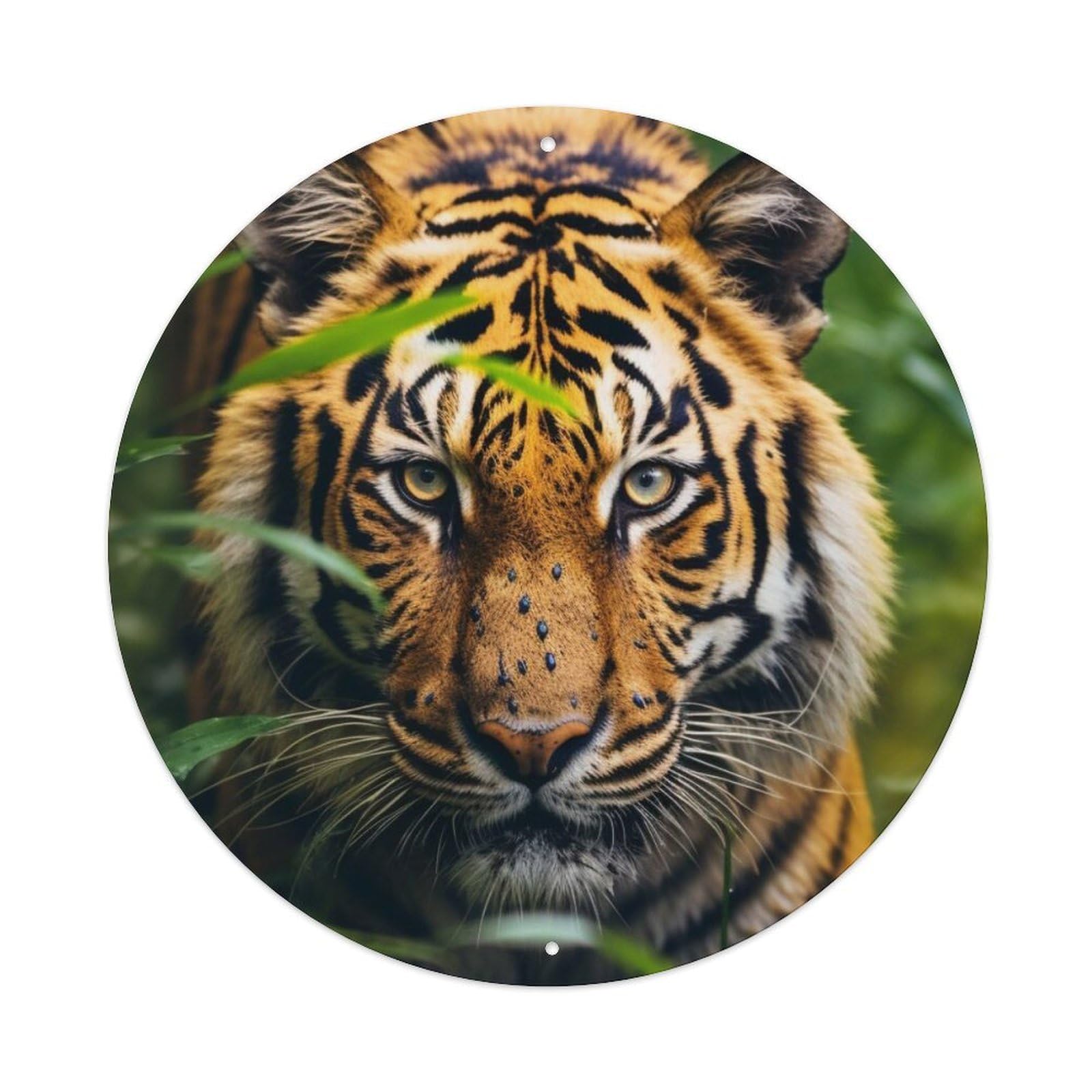 Animal Sumatran Tiger Metal Tin Sign