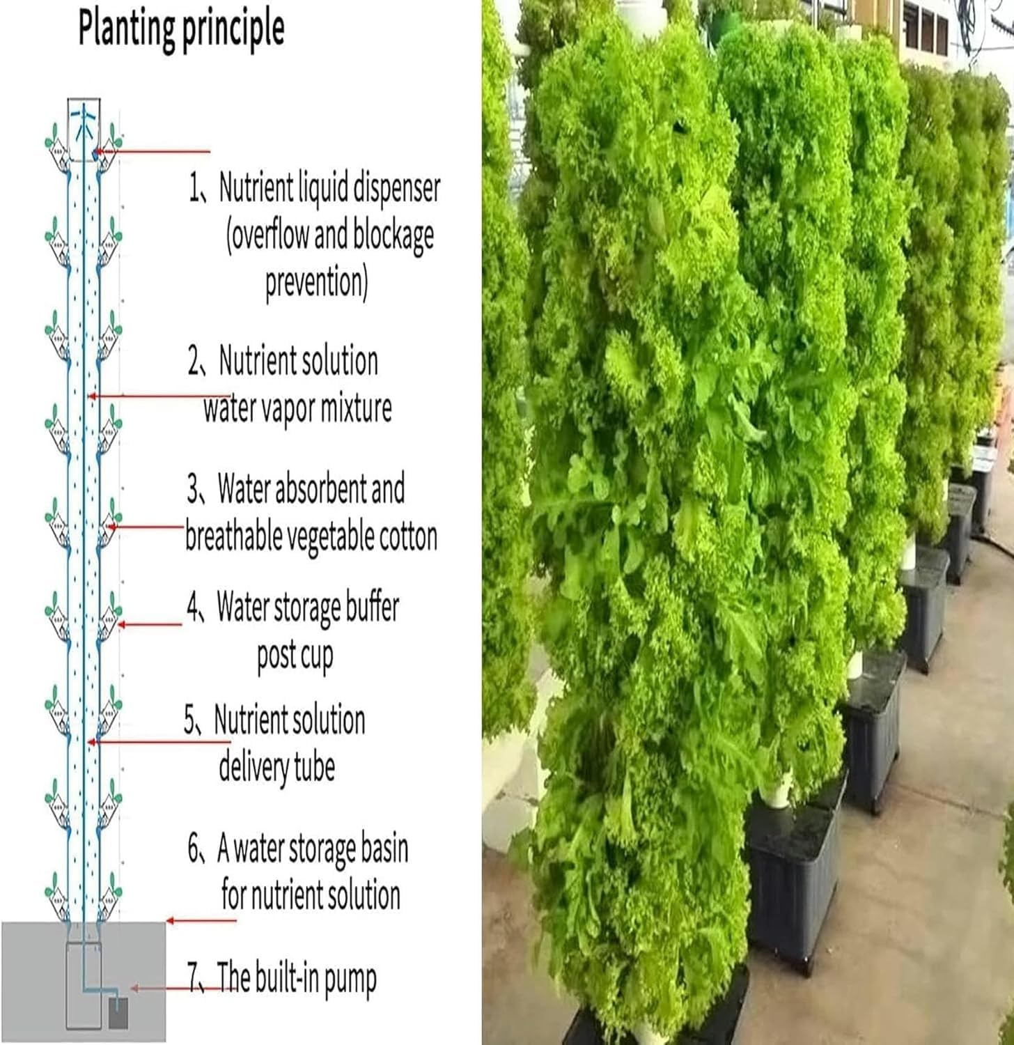 Torre di Coltivazione Aeroponica 45 Buchi 154cm - Sistema Idroponico Completo in ABS Alimentare, 30L di capacità, Connessione Multipla per Massimizzare Lo Spazio, Ideale per Erbe e Lattuga