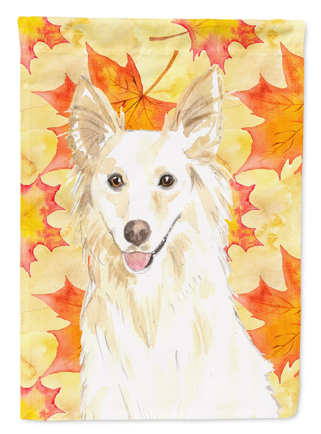 Drapeau White Collie anti-décoloration pour embellir une façade terne