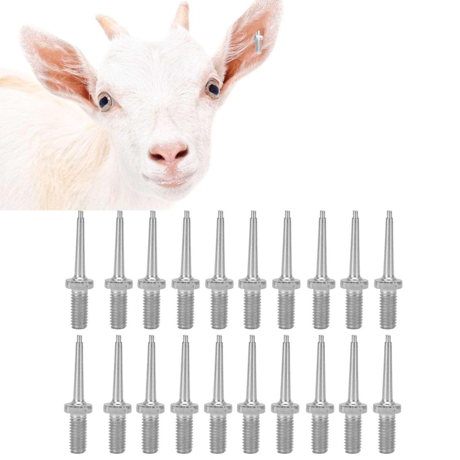 Voluxe Pin di Ricambio per pinze per Marchi Auricolari Animali, Perno per Marchio Auricolare per Bestiame, Perno per suini bovini Ovini per bovini(Stainless Steel Ear Tag Needle)