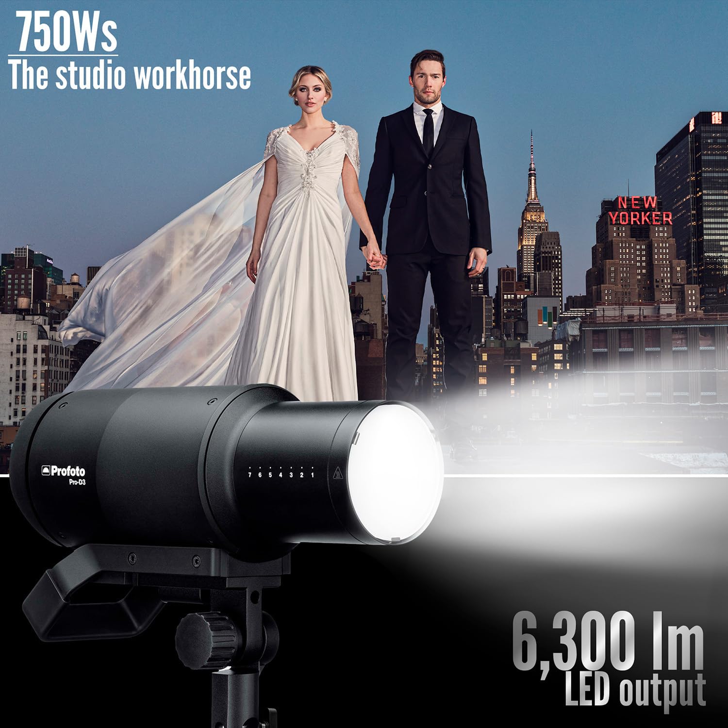 w.rさま 専用 (アルティメット29cm) Amazon.com : Profoto TeleZoom Reflector White for Protruded