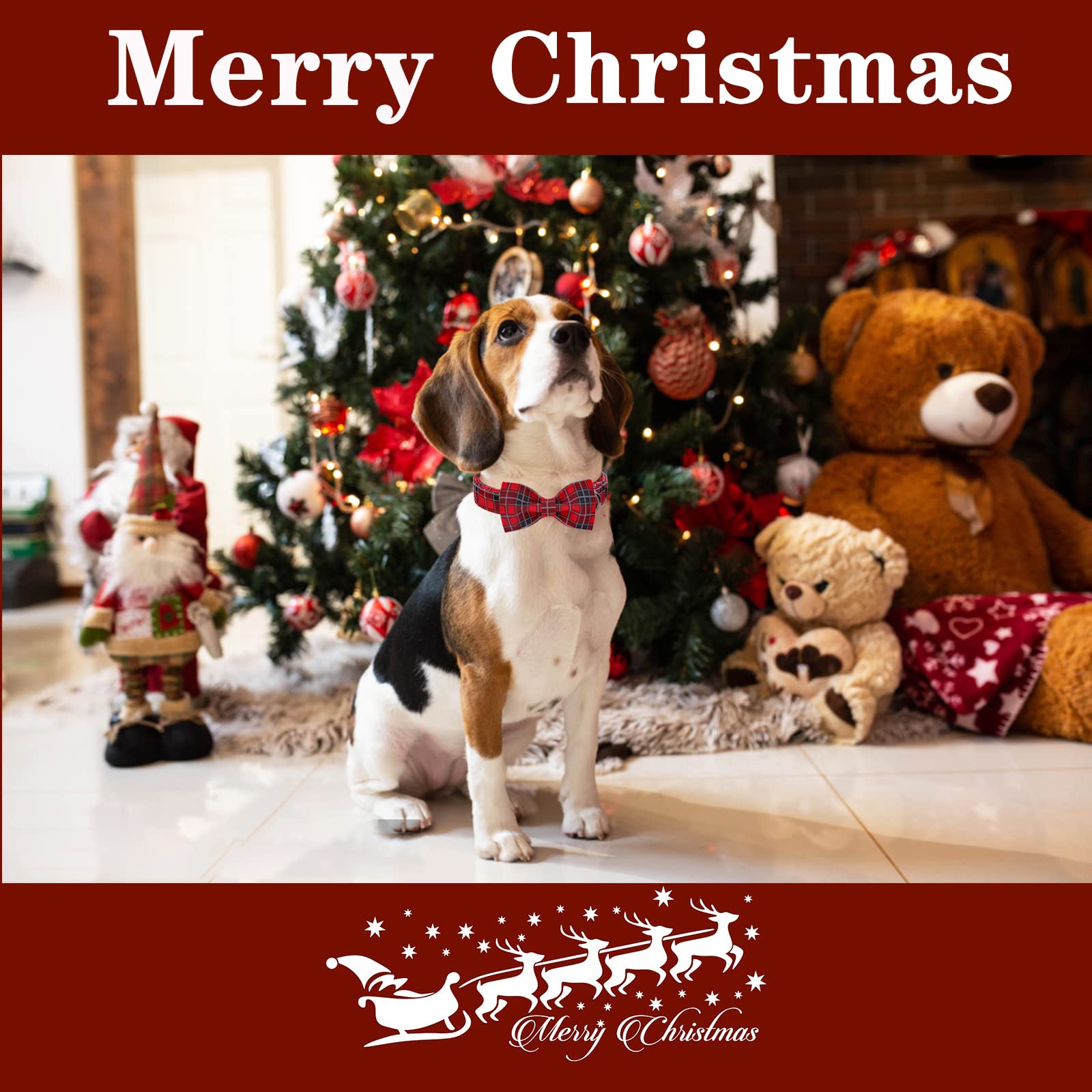 Unique style paws Christmas Dog Collar with Bow Tie Adjustable Red & Black Pet Collar for Small Medium Large Dogs-M - Image 4