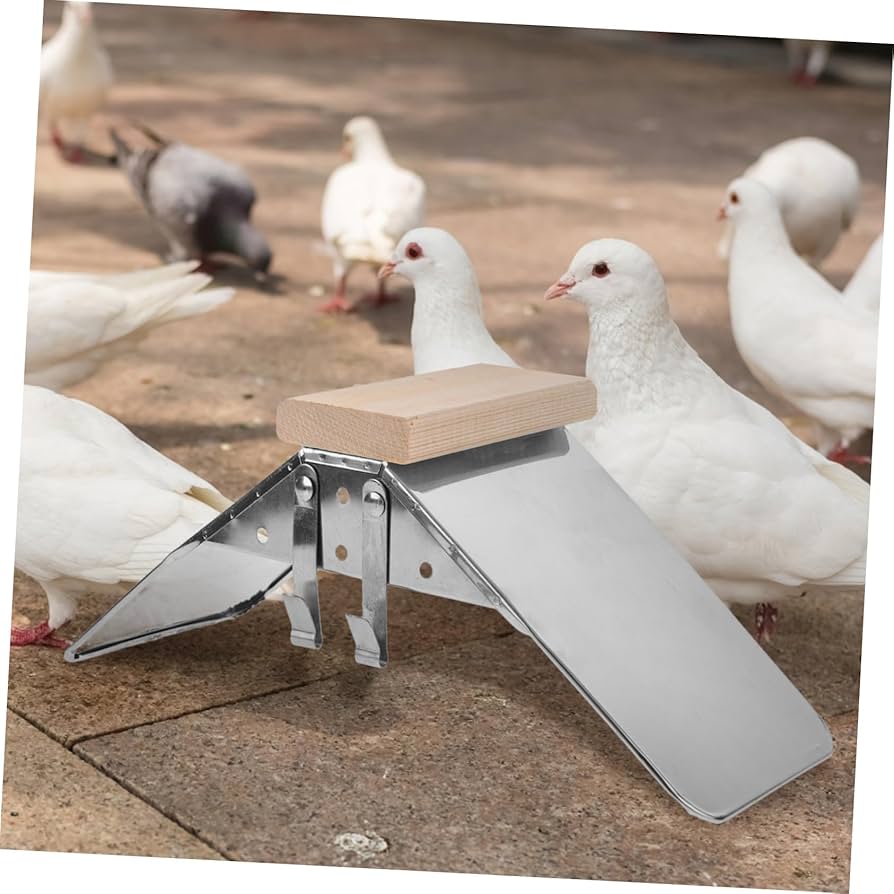 Amazon | ORFOFE ステンレス製 鳥の止まり木 スタンド ホルダー 鳩