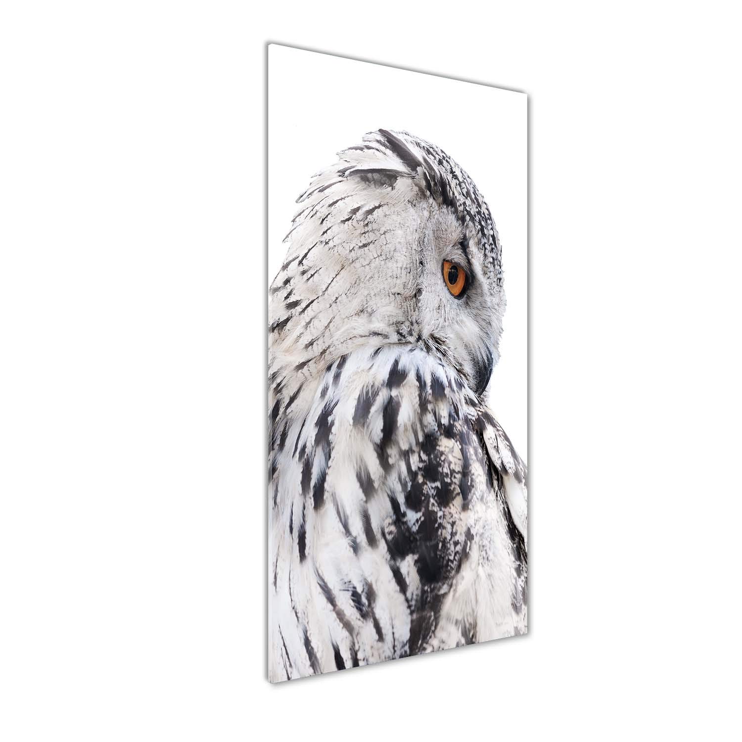 Déco mural derrière le plastique de chouette blanche, tableau plexiglas pour chambre