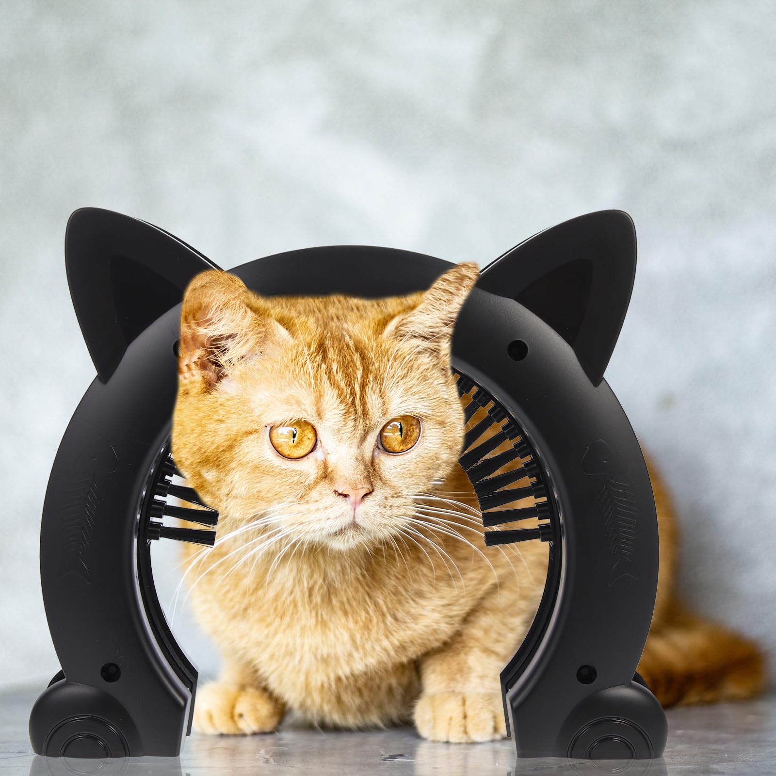 Katzenklappe Innentür aus Abs Kunststoff mit Bürstenpflege Haustiertür für Katzen und Hunde zur Freien Bewegung im Innenbereich Schwarz