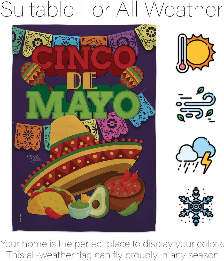 Breeze Decor Cinco de Mayo Garden House Summer Mexican Fiesta Party Cactus PinataOutdoor Summertime Sunny Decoration Banner Small Yard Gift Double-Sided, Thick Fabric, Large & Small Flags Set