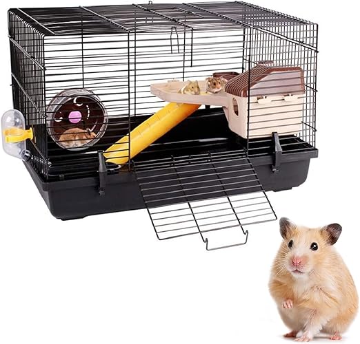 The Best Dwarf Hamster Cage for 2022 AZ Animals