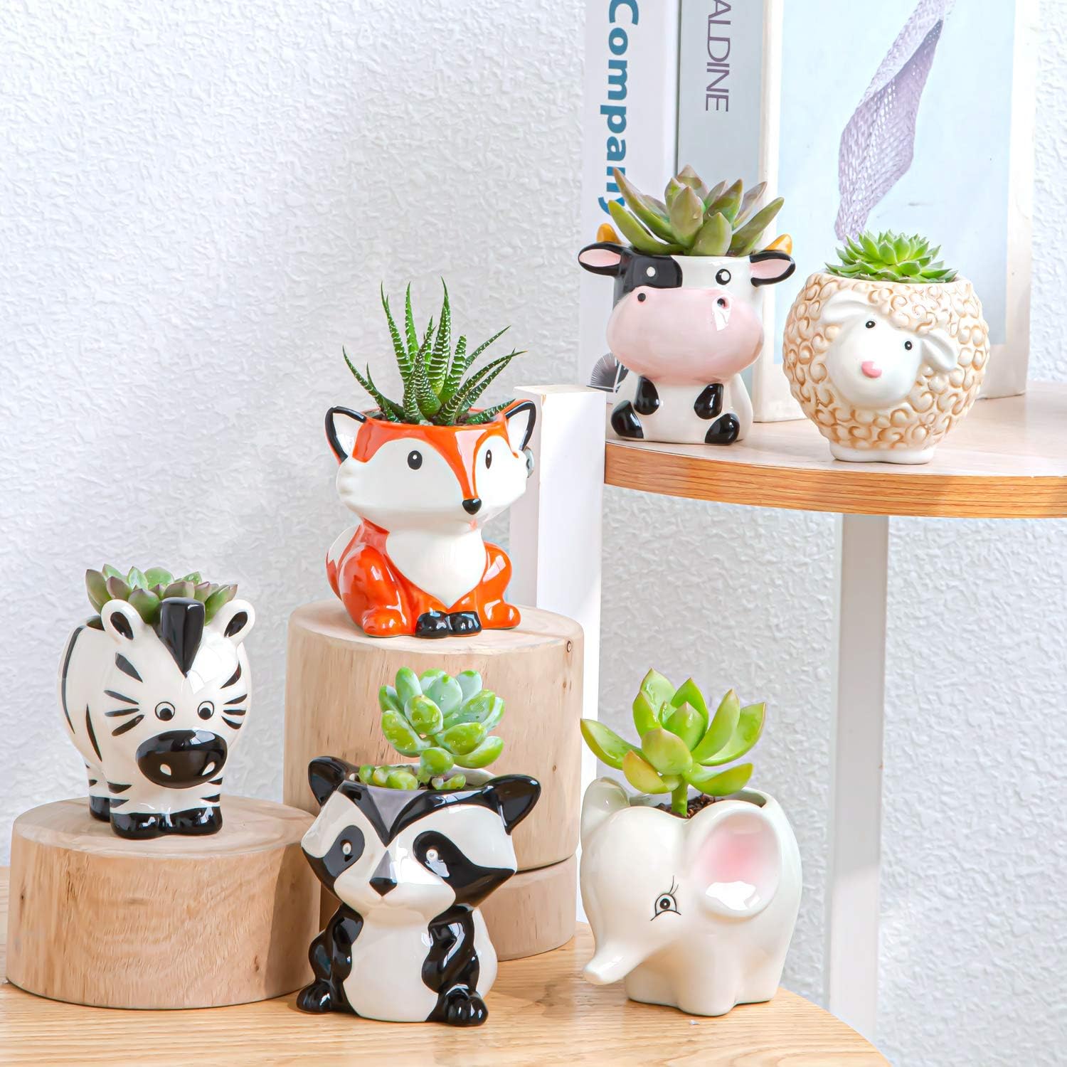 Animal Cat Planter, Cute Succulent Pots with Drainage, Small Cartoon Ceramic Air Plant Flower Pots Cactus Faux Planters Containers Set of 12