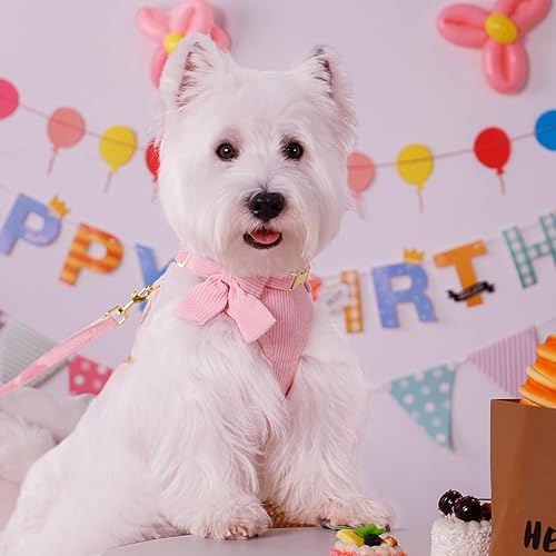 Miniatura 2 de Didog Lindo arnés para perro pequeño con corbata de lazo, arnés acolchado de malla suave transpirable para cachorro, arnés rosa para perros para