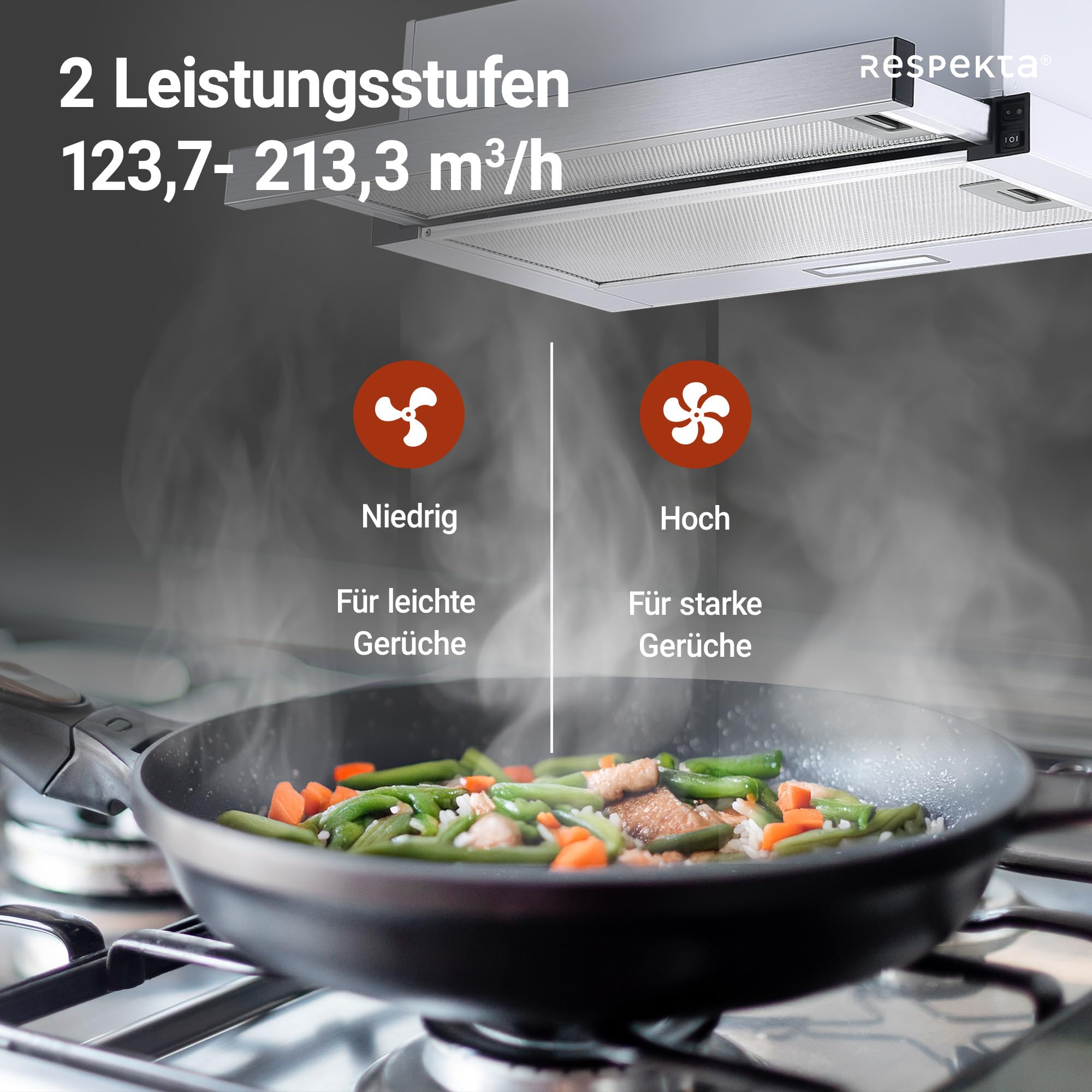 Respekta Dunstabzugshaube 60 cm Edelstahlgehäuse Weiß Abluft Umluft CH4138IXC 53–64 dB