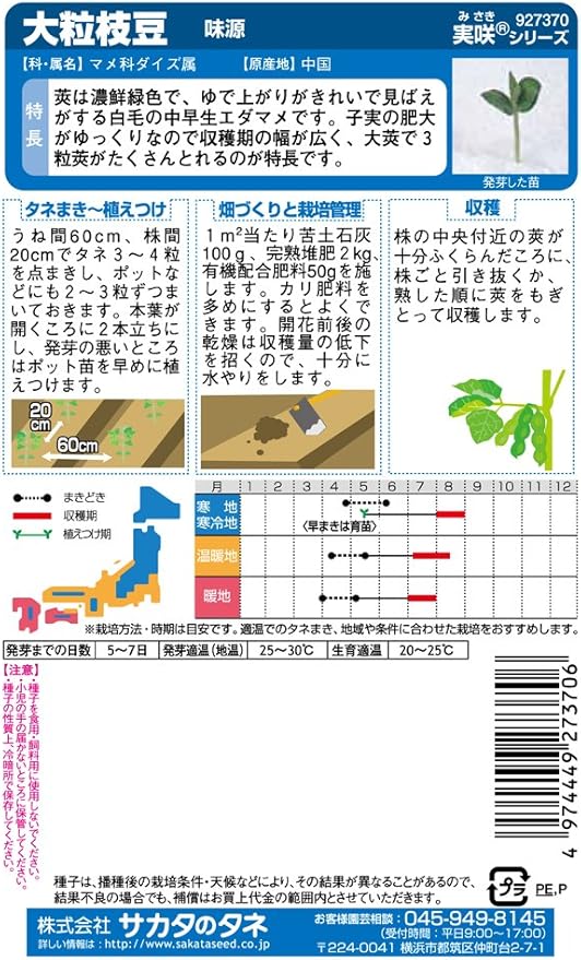 Amazon サカタのタネ 実咲野菜7370 大粒枝豆 味源 野菜 Amazon サカタのタネ 実咲野菜7370 大粒枝豆 味源 野菜