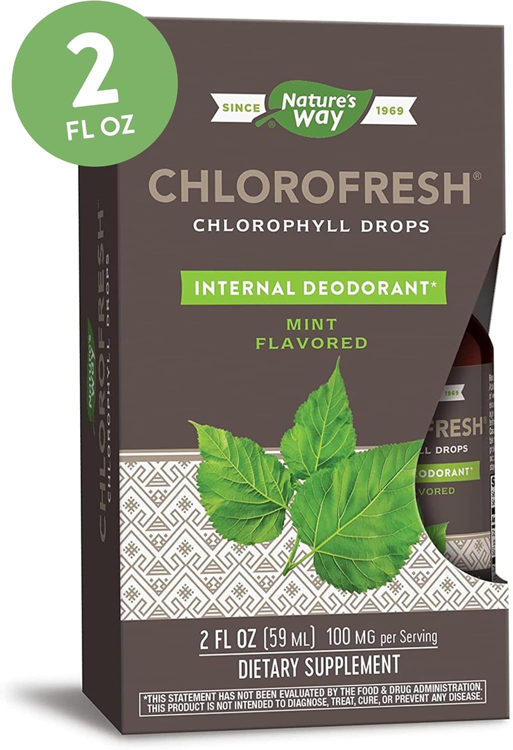 Amazon.com: Nature's Way Chlorofresh, Liquid Chlorophyll Concentrate ...