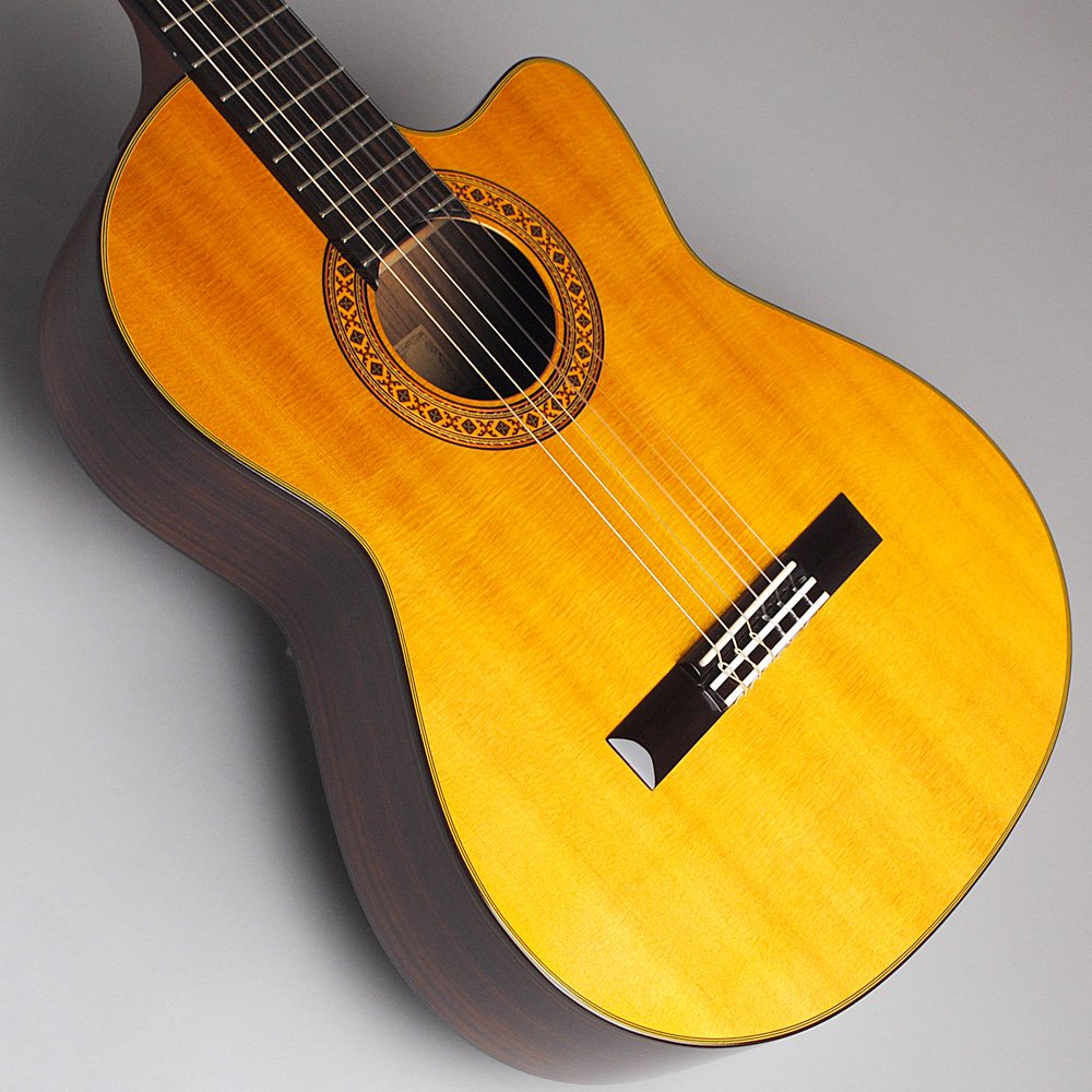 Amazon.co.jp: K.Yairi Kヤイリ CE-1D エレガット : 楽器・音響機器