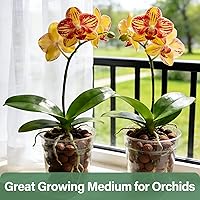 Vista 6 de Halatool 2 LB Guijarros de arcilla expandida natural de 2 libras para plantas 4mm-16mm Bolas de arcilla 100% orgánicas Hydroton Leca para plantas