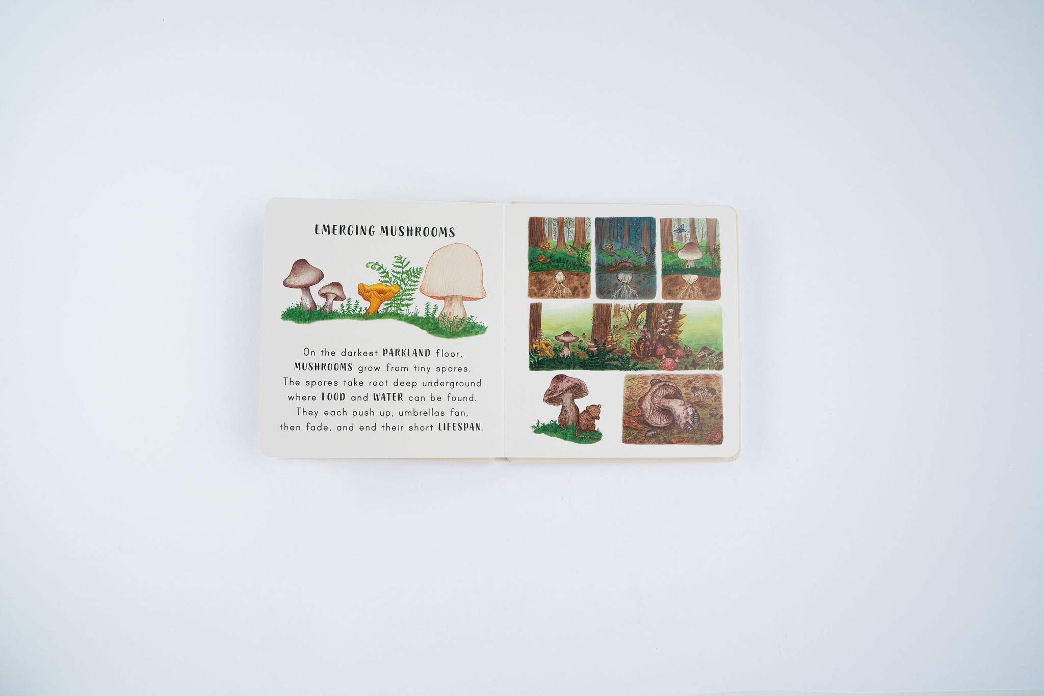 Slow Down… Discover Nature in the Park: Bring calm to Baby's world with 6 mindful nature moments