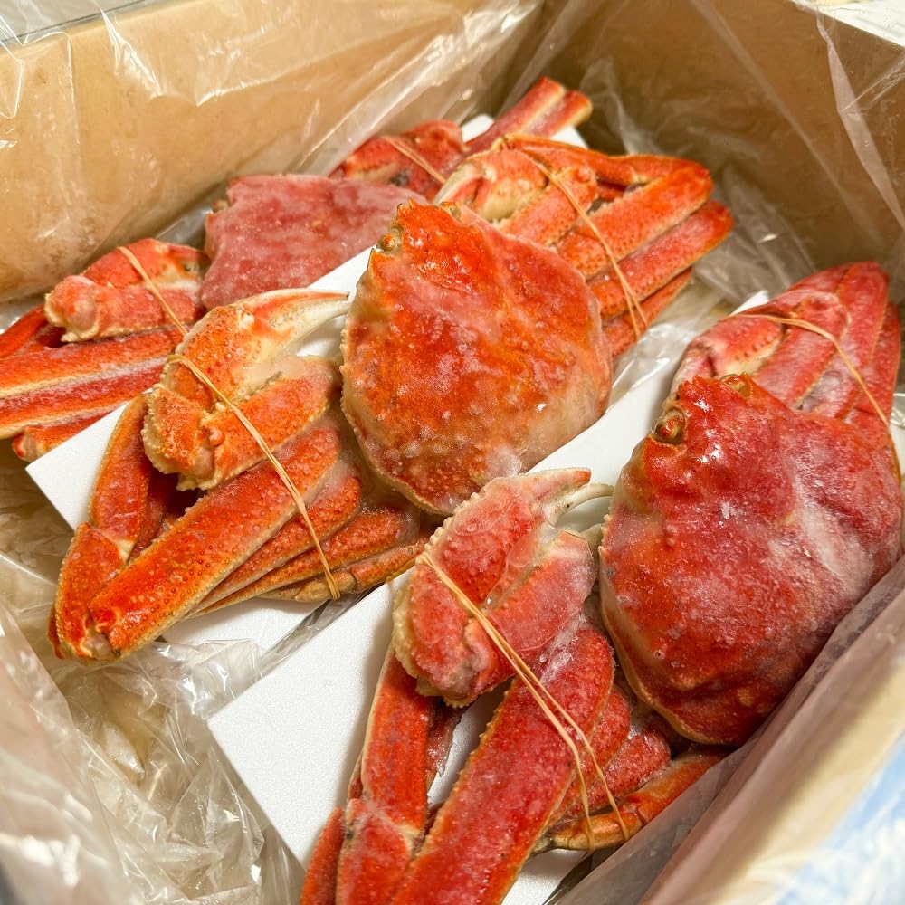 ズワイガニ 姿 3kg(訳あり)