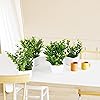 Product Photo 7