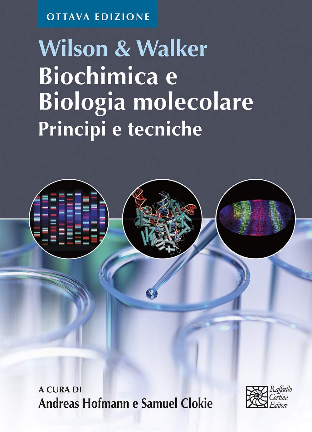 Wilson & Walker. Biochimica E Biologia Molecolare. Principi E Tecniche - 4