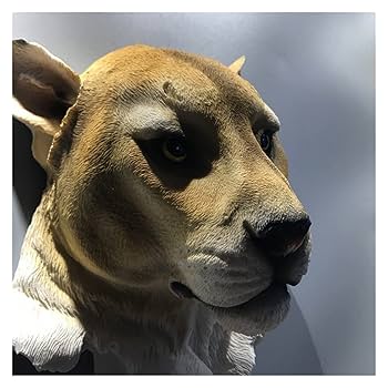 Amazon.co.jp: PARCJ 新樹脂 シミュレーション 動物 置物 壁