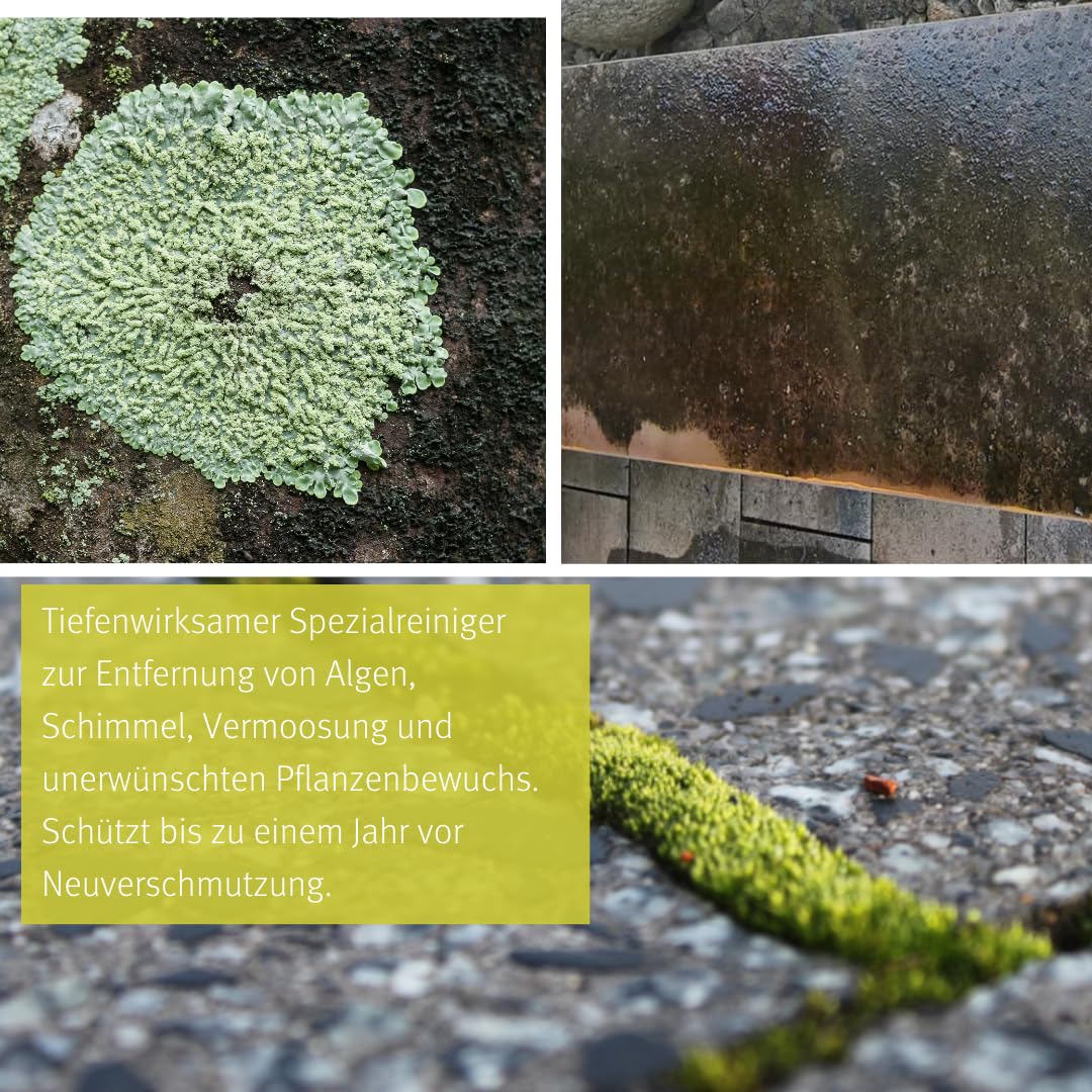 Steinreiniger außen | Grünbelag-Entferner | Entfernt Moos, Algen & Schimmel von Pflastersteinen, Terrassen & Mauersteinen | säure- und chlorfrei 1,0 l
